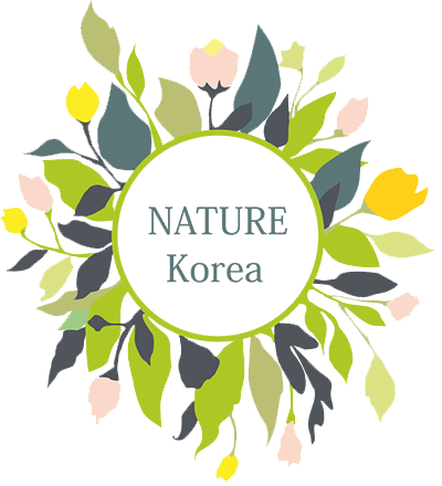 Интернет-магазин корейской косметики Nature Korea